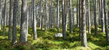 超聲波清洗機(jī)可以清洗水垢嗎？